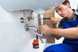 Best Pipe Inspections and Diagnostics  in St Peter, WI